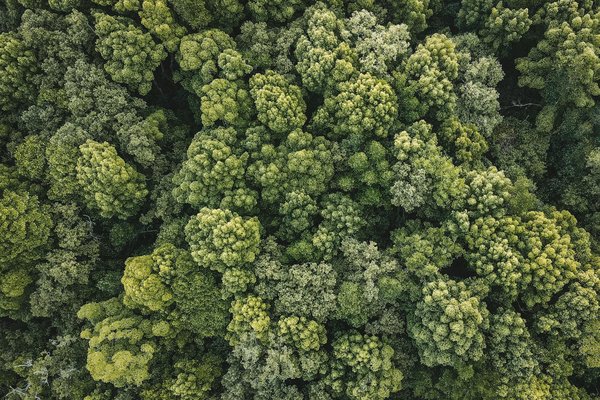 Les meilleurs architectes à lyon pour vos projets : guide complet