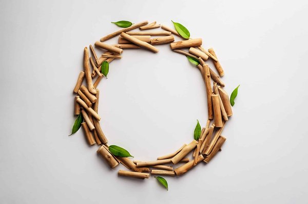 Comment les jardins zoologiques peuvent-ils participer activement à la conservation des espèces menacées ?